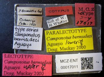 Media type: image;   Entomology 17011 Aspect: labels